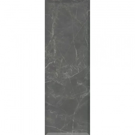 Буонарроти серый темный грань матовый обрезной 30x89,5x1,15