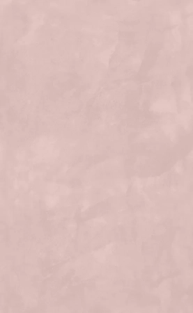 Фоскари розовый глянцевый 25x40x0,8