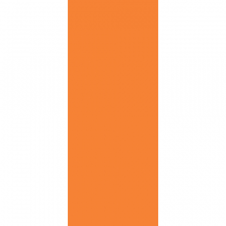 Городские цветы оранжевый матовый 20х50