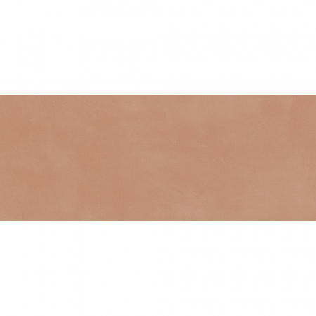 Каннареджо оранжевый матовый 20x50x0,8