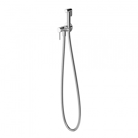 Смеситель с гигиеническим душем встроенного монтажа, хром
