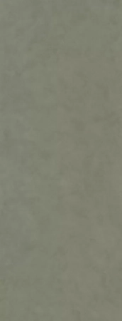 Surface Laboratory/Конкрит зеленый светлый матовый обрезной 119,5x320x1,1