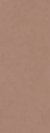 Surface Laboratory/Конкрит коричневый светлый матовый обрезной 119,5x320x0,6