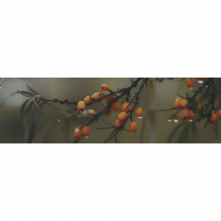 Декор Тракай 6 глянцевый 8,5х28,5