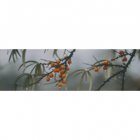 Декор Тракай 7 глянцевый 8,5х28,5