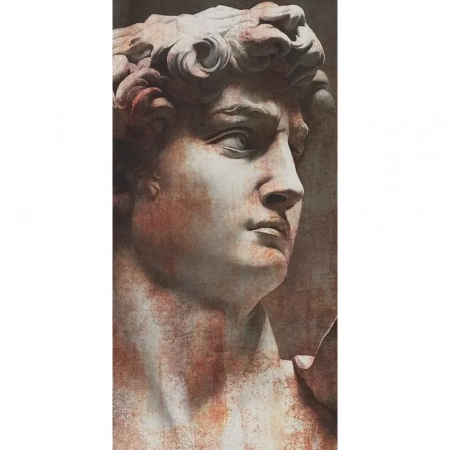 Ковер Давид 1 матовый обрезной 119,5х238,5х0,9