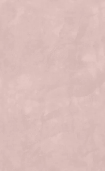 Фоскари розовый глянцевый 25x40x0,8