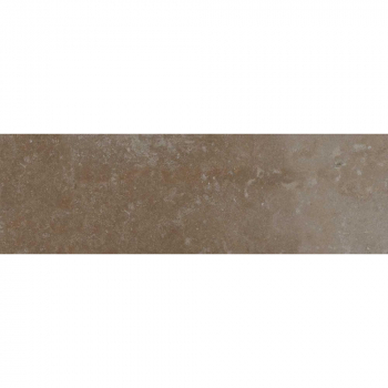 Тракай коричневый светлый глянцевый 8,5х28,5