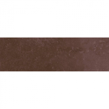 Тракай бордо глянцевый 8,5х28,5