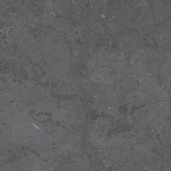 Про Лаймстоун серый темный натуральный обрезной 60x60x0,9