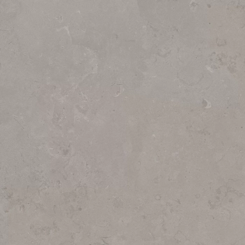 Про Лаймстоун серый натуральный обрезной 60x60x0,9