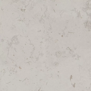 Про Лаймстоун серый светлый натуральный обрезной 60x60x0,9