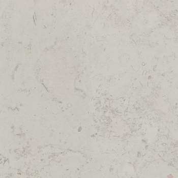 Про Лаймстоун серый светлый натуральный обрезной 60x60x0,9