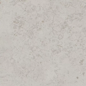 Про Лаймстоун серый светлый натуральный обрезной 60x60x0,9