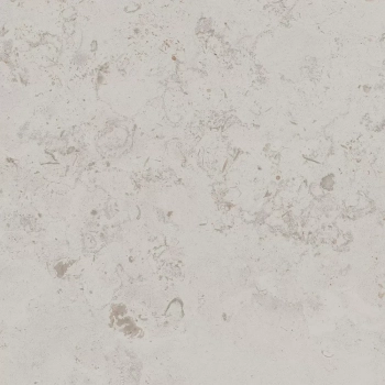 Про Лаймстоун серый светлый натуральный обрезной 60x60x0,9