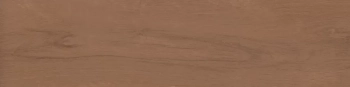 Аргания коричневый матовый 9,9x40,2x0,8