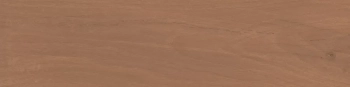 Аргания коричневый матовый 9,9x40,2x0,8