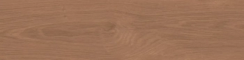Аргания коричневый матовый 9,9x40,2x0,8