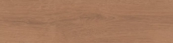 Аргания коричневый матовый 9,9x40,2x0,8