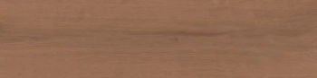 Аргания коричневый матовый 9,9x40,2x0,8