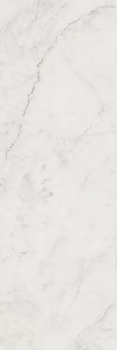 Тубкаль белый глянцевый обрезной 30x89,5x0,9