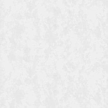 Обои виниловые Экзотика база, белый