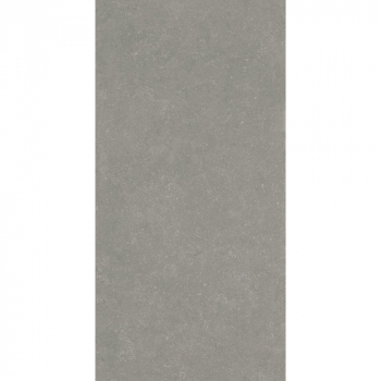 Касабланка RP серый матовый обрезной 60x119,5x0,9