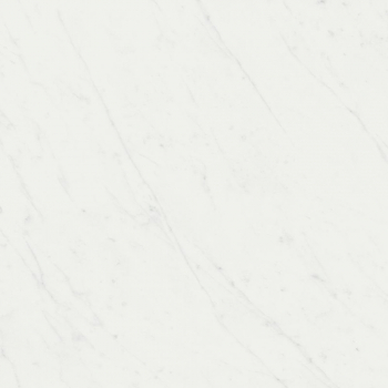 Борсари белый обрезной 50,2х50,2